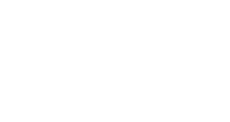 Logo white consto
